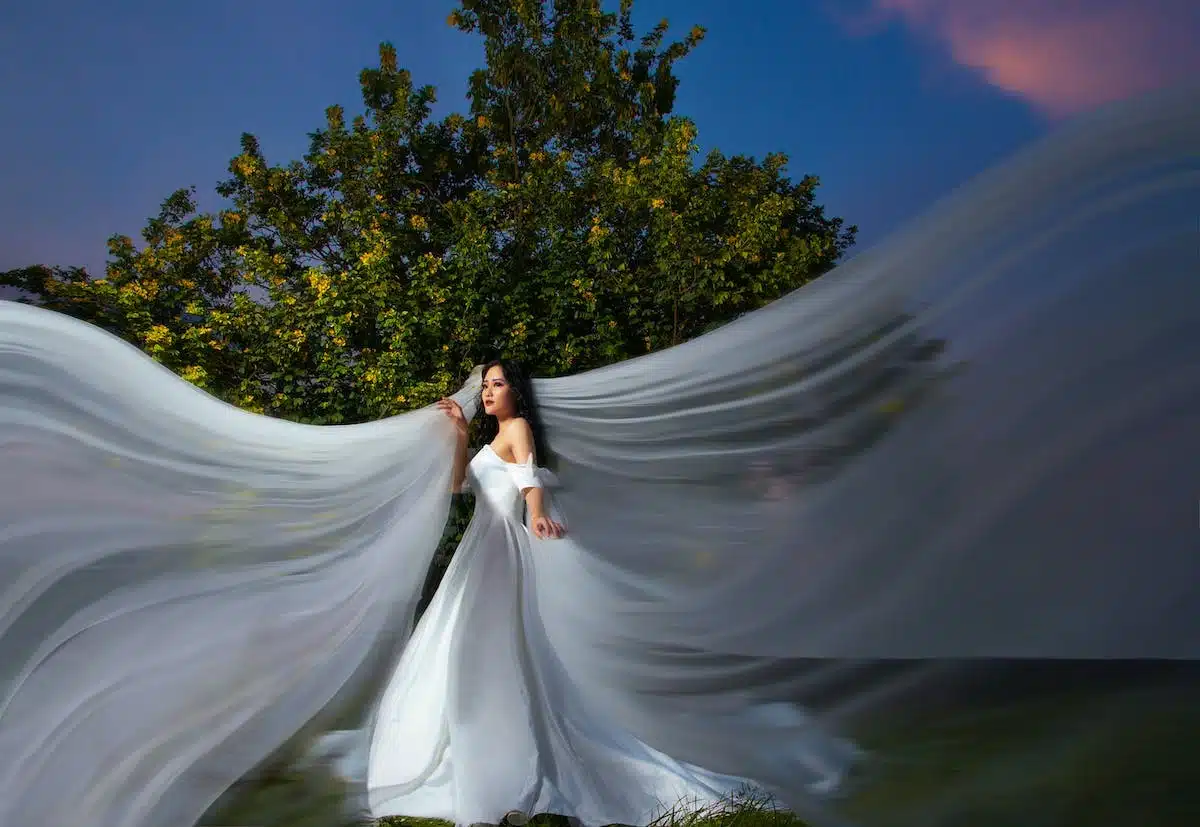 mariage animation