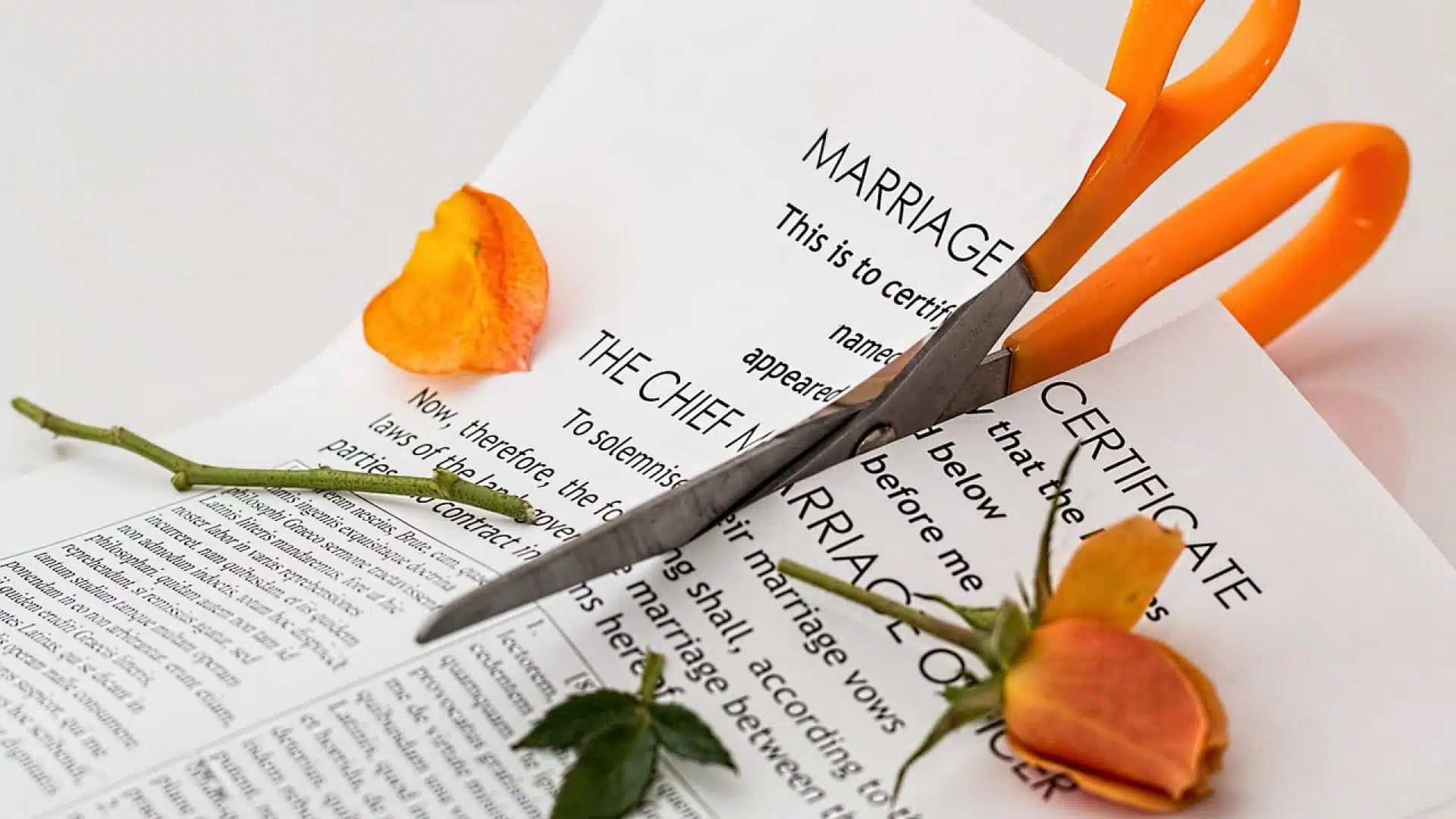 Le divorce en ligne : voici les avantages